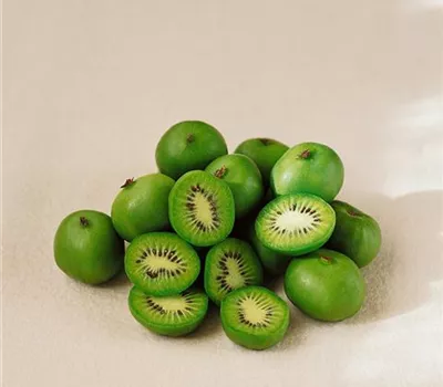 Kiwi 'Vita Green'