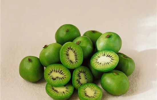 Kiwi 'Vita Green'